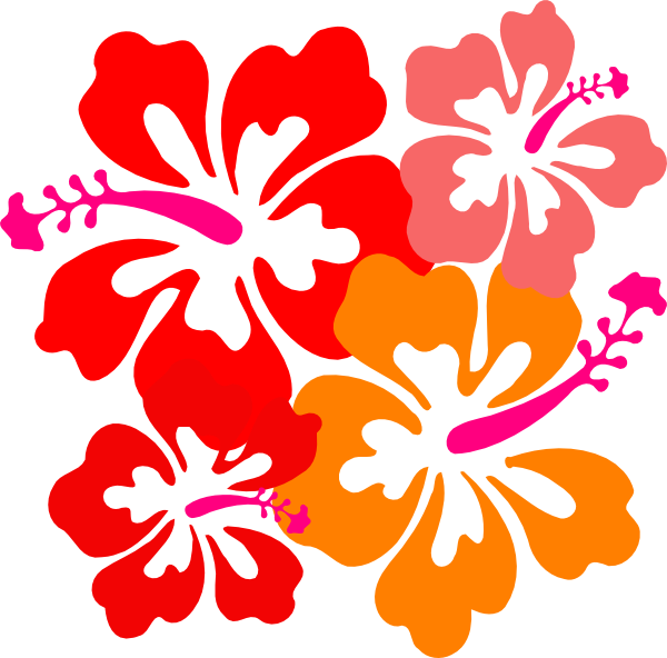 Hibiscus Clipart Jaba - Hawaii Flower (600x592)