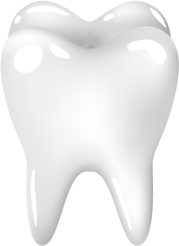 Wall Color - Imagenes De Dientes En Png (374x495)