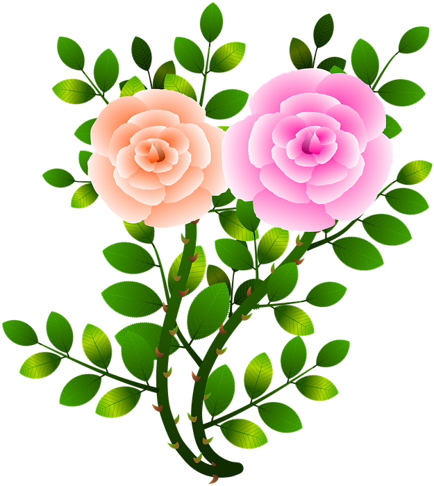 Tropical Flowers Clipart 23, Buy Clip Art - Green Flower With Branch (716x720)