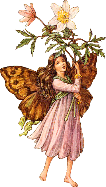Images For Vintage / Vintage Free Images - Flower Fairies No Background (364x640)