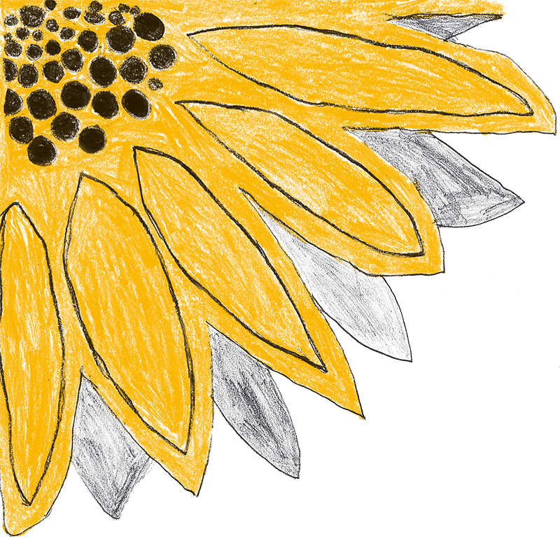  Sunflower Clipart Png (800x769)