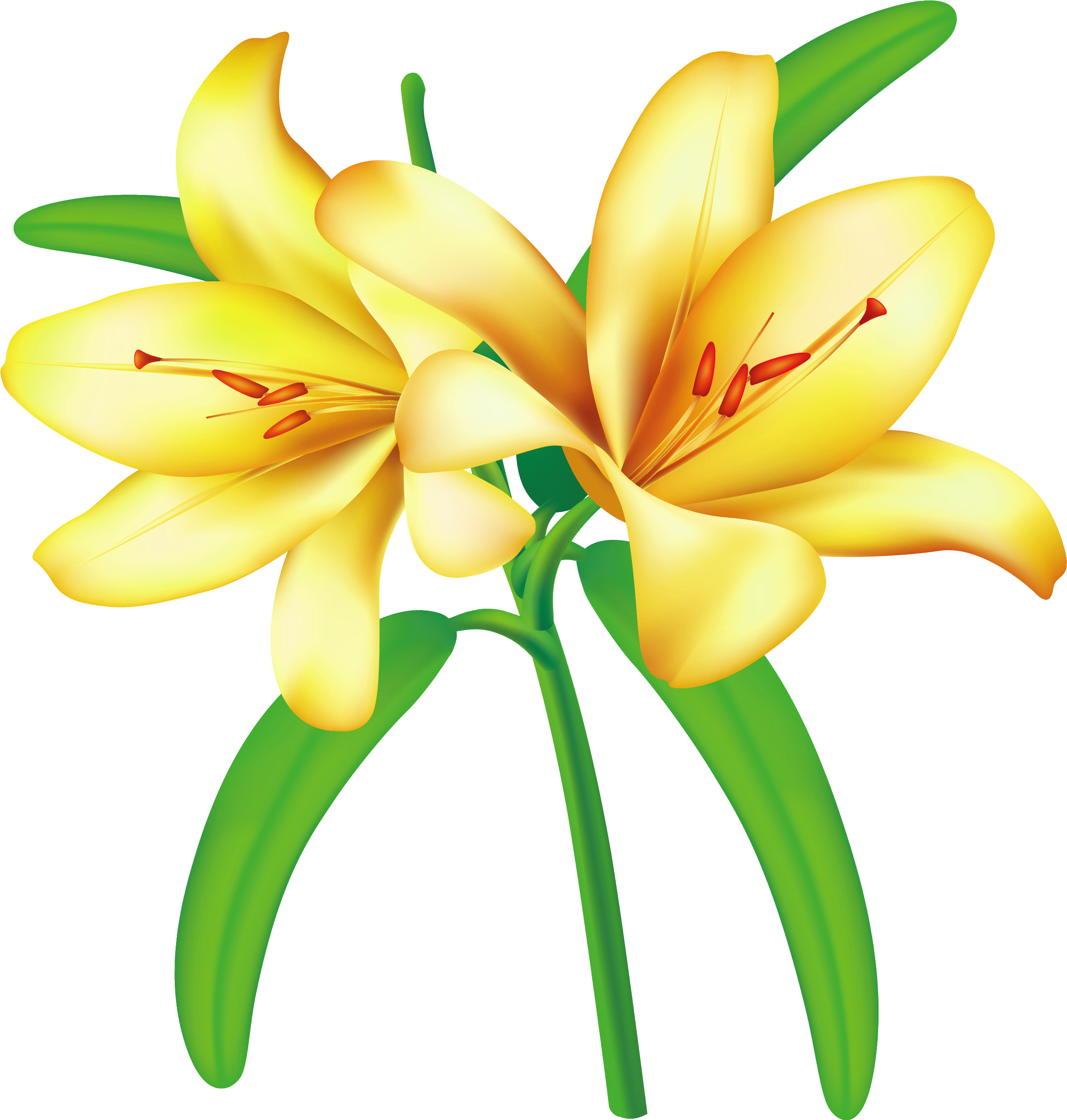 Free - Yellow Flowers Clipart Png (2535x2661)