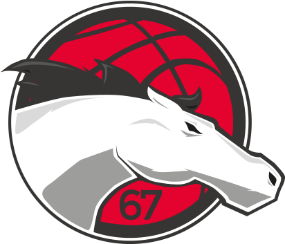 Leicester Riders Basketball (419x362)