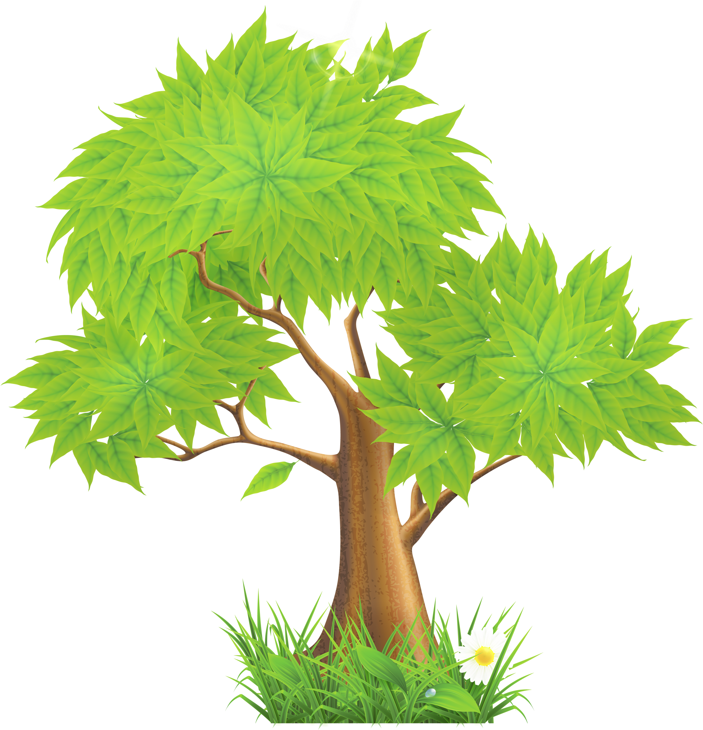 Absolutely True Diary Blogs - Tree Clipart Png (2500x2558)