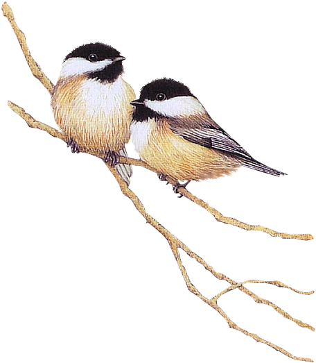 Birds On A Branch - Chickadee Bird Necklace, Bird Pendant, Bird Jewelry, (496x566)