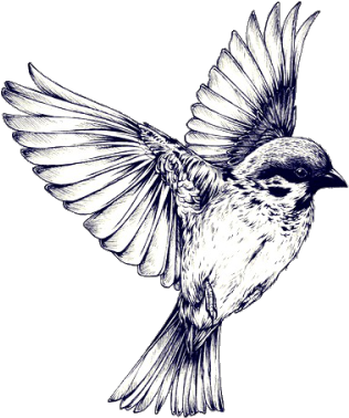 Pajaros Volando Blanco Y Negro - Sparrow Tattoo Realistic (500x500)