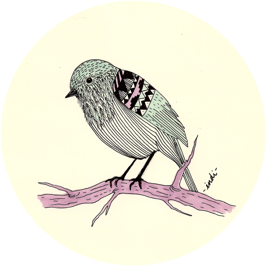 Animal Portraits By Indi Maverick, Via Behance - Dark Eyed Junco (600x616)