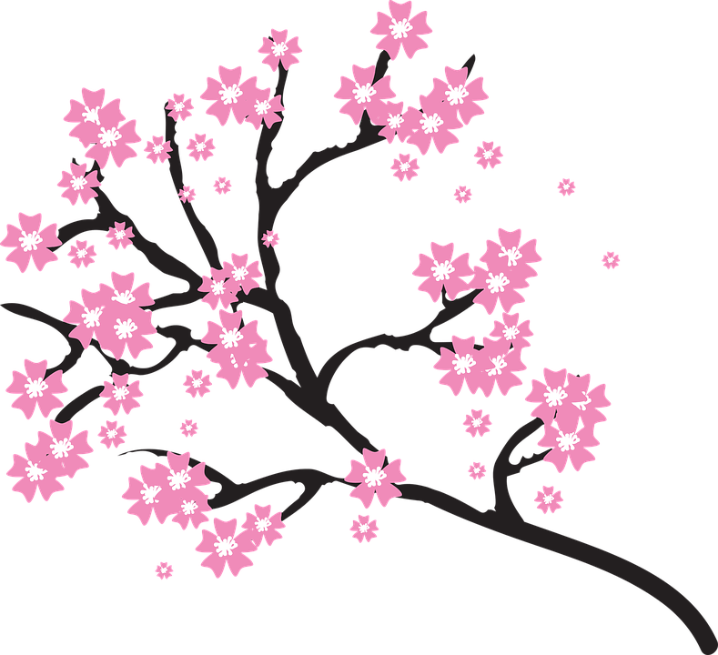 Bloom Tree Cliparts 8, - Cherry Blossom Tree Clipart (789x720)