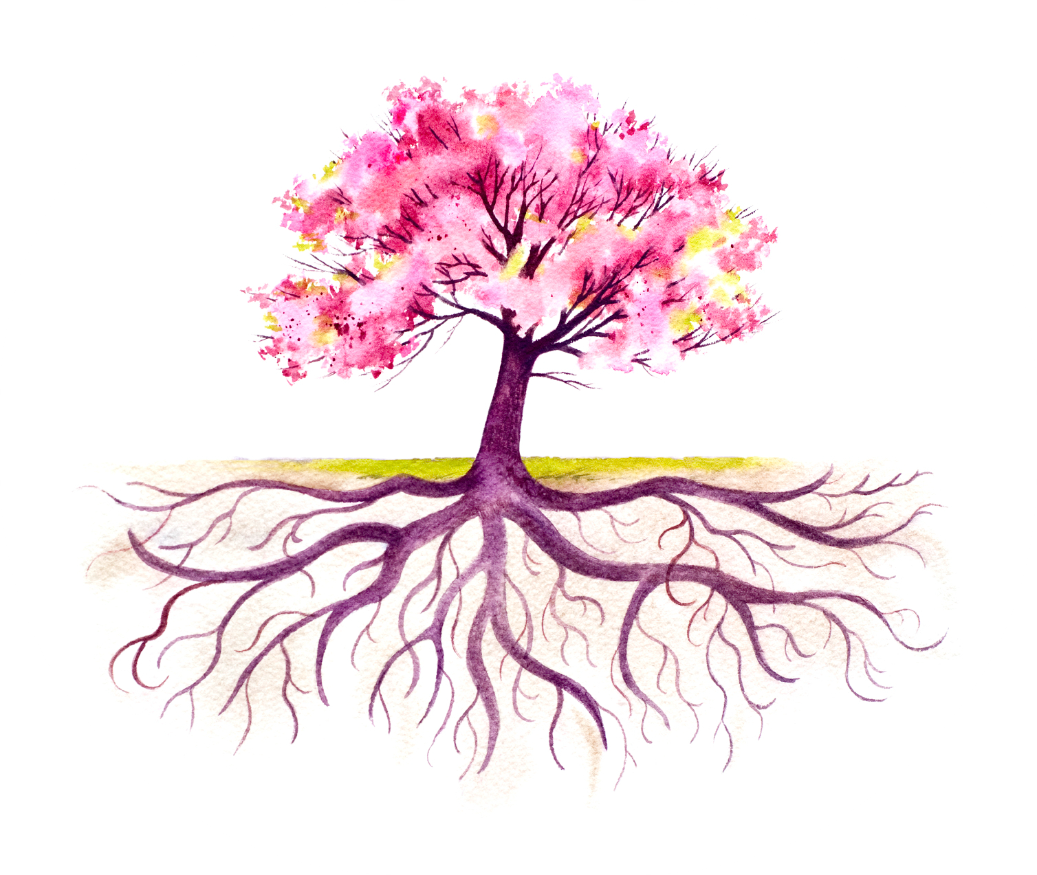 Blooming Tree With A Strong Root System Royalty Free - Fall Tree With Roots (1508x1273)