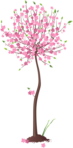 Spring Pink Tree Png Clipart - Pink Tree Png (339x600)