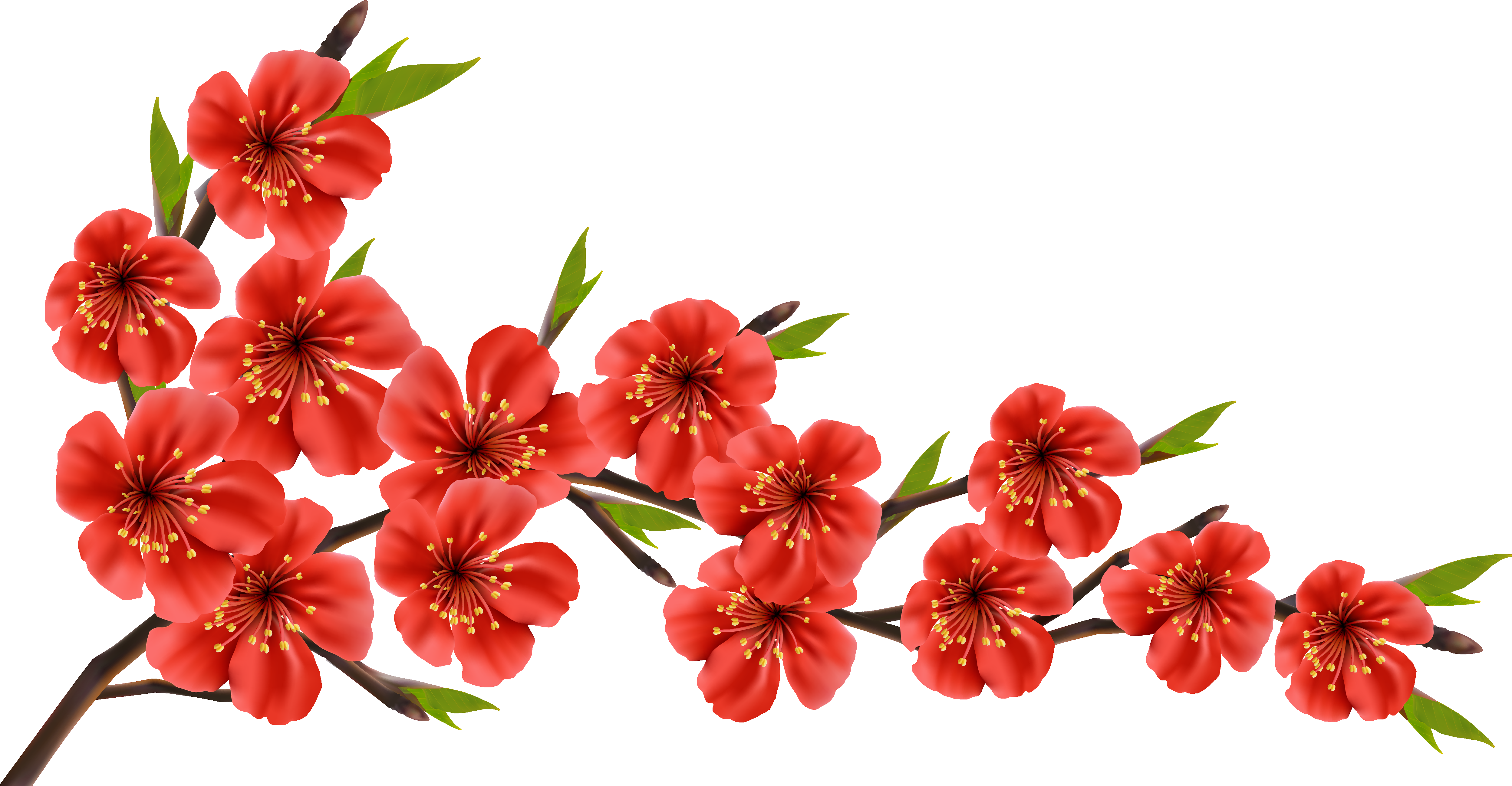 Red Flower Clipart Red Blossom - Best Of Luck Quotes (5054x2706)