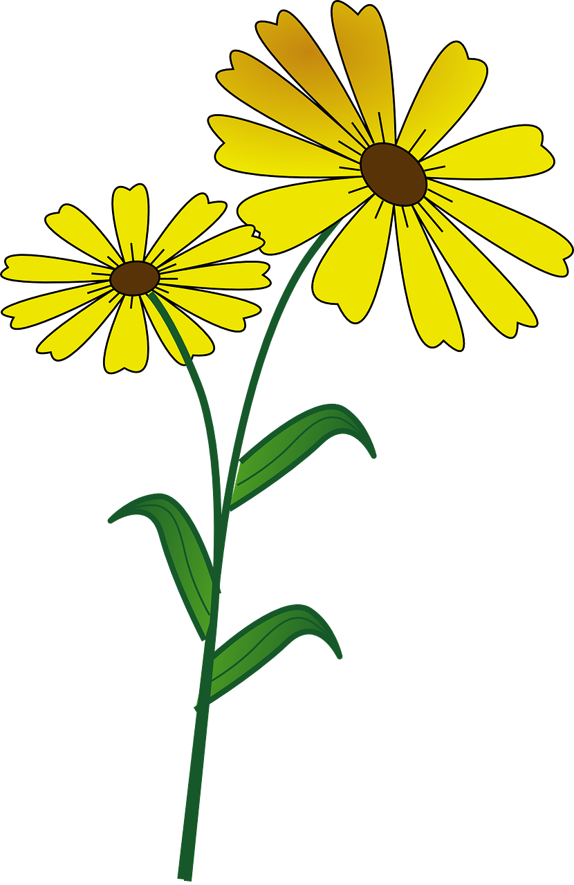 Clip Art - Wild Flower - Clip Art - Wild Flower (830x1280)