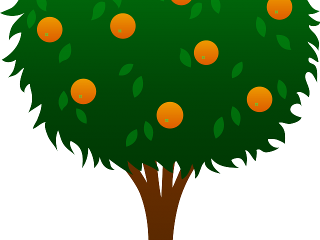 Cartoon Orange Tree - Lemon Tree Clipart (640x480)