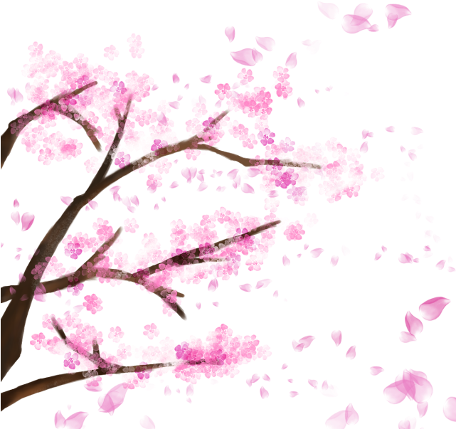 Blooming Cherry Tree, Cherry Blossom，sakura, Cherry, - Cherry Blossom Tree Transparent Backfround (641x603)
