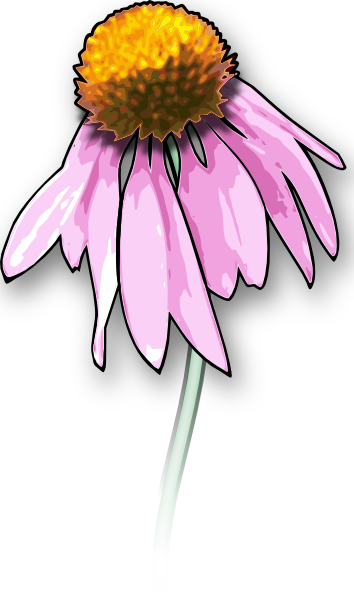 Dead Flower Clip Art At Clker - Draw A Dead Flower (354x592)
