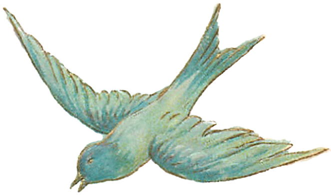Vintage Bird Illustrations - Vintage Png (663x390)