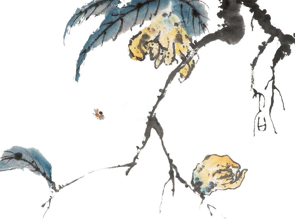 Chayote Melon Painting - Chayote Melon Painting (1000x761)