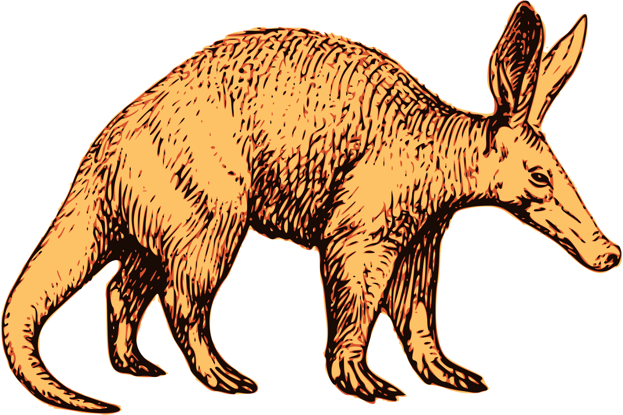 Top 83 Aardvark Clip Art - Aardvark (2400x1598)