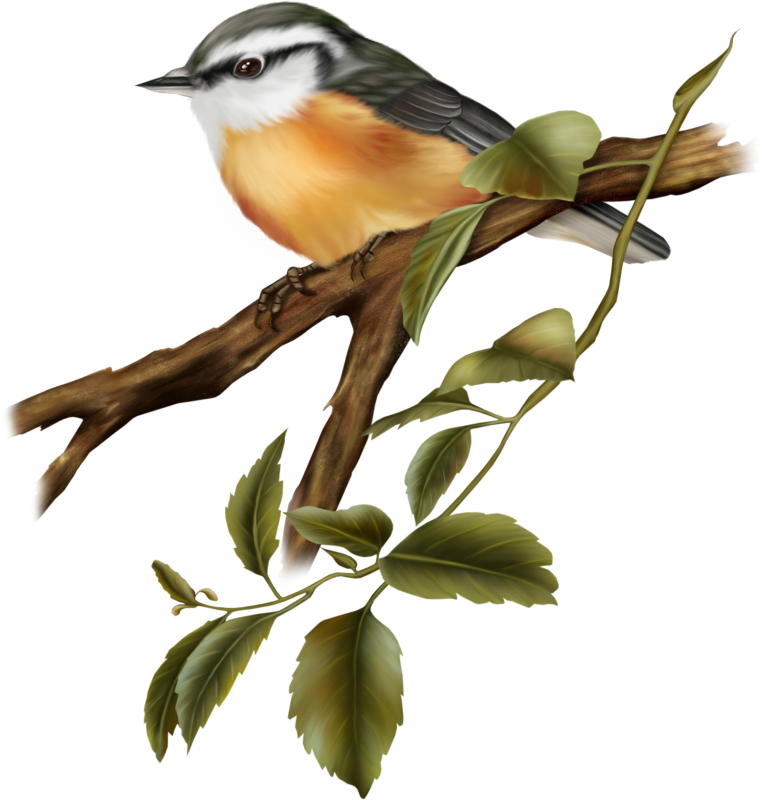 Birds On Branches - Oil Painting Birds With A Branch Decorative Hanging (765x800)