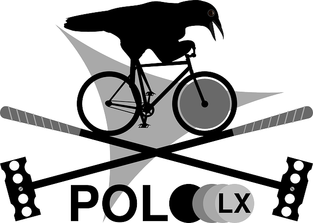 Polo Black, Bike, Bicycle, Polo - Polo (640x457)