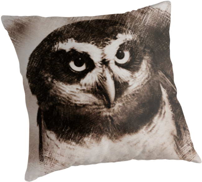 Owl Sketch 05 By Fantasytripp - Cushion (875x875)