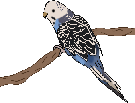 Tutty The Bird - Budgie (472x571)
