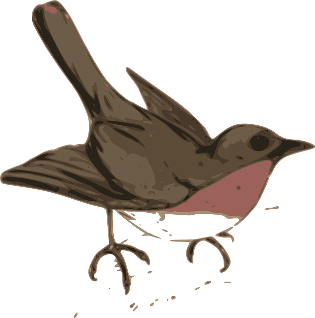 Brown, Outline, Silhouette, Cartoon, Birds - Cuckoo Clip Art (634x640)