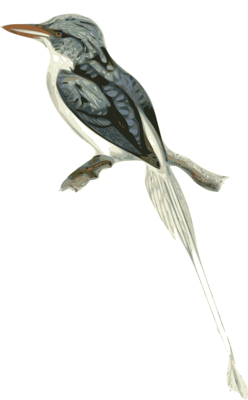 Birds Branch Cliparts 17, Buy Clip Art - Transparent Branch Bird Clipart (958x1546)