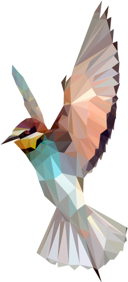 Bird Polygon - Google 검색 - Bird Geometric 3d (595x842)