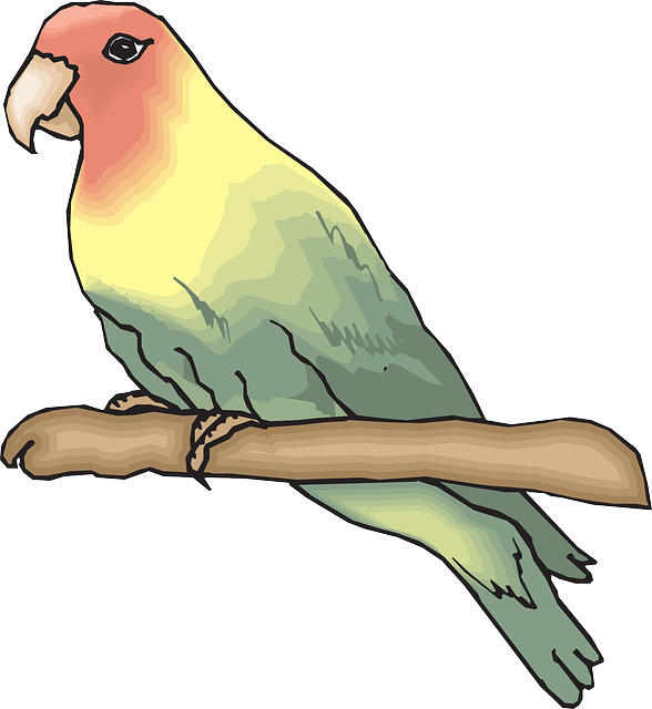 Perched Bird, Branch, Wings, Animal, Feathers, Species, - Sketsa Burung Love Bird (588x640)