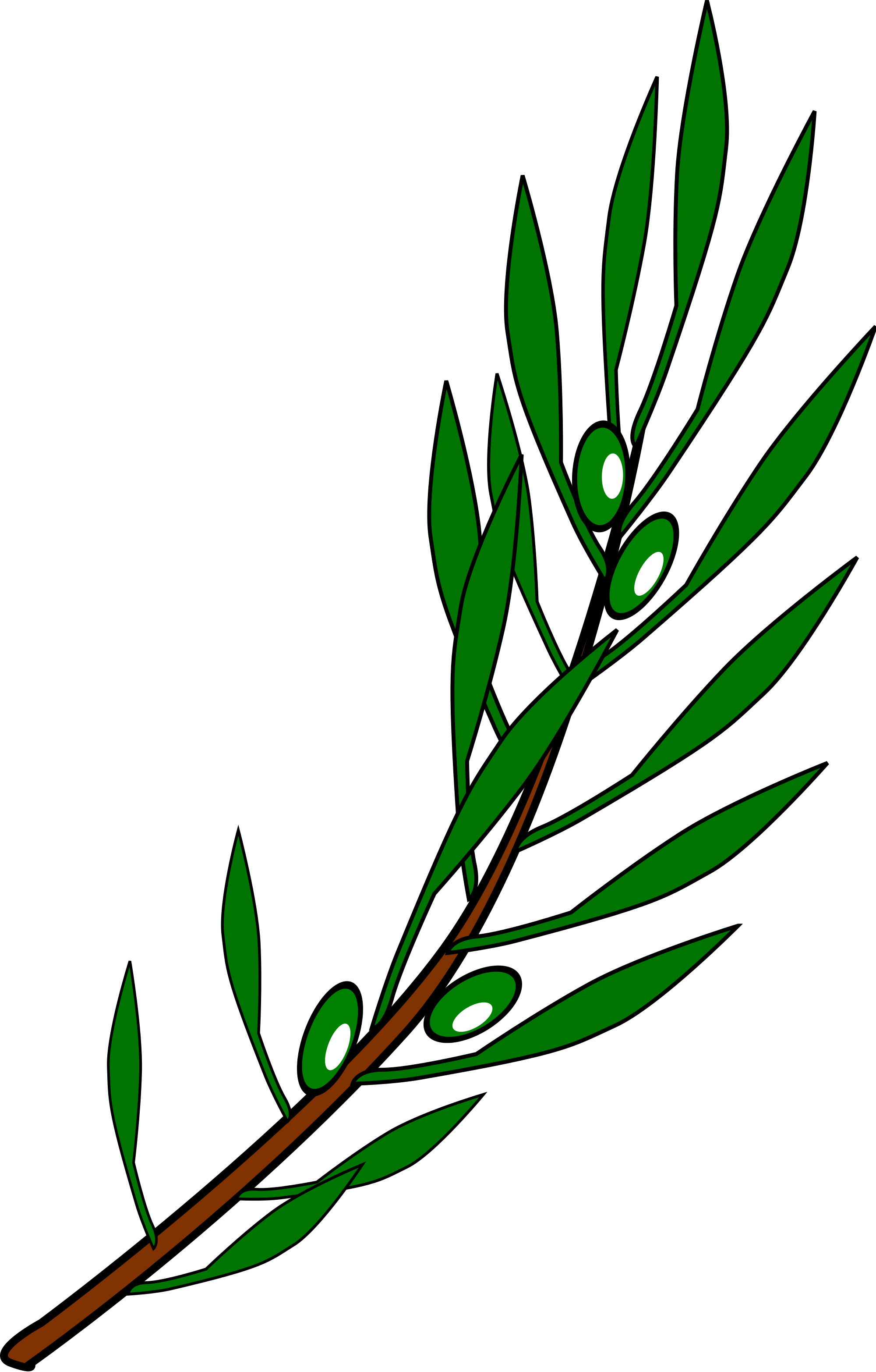 Fileolive Branch Drawing - Draw A Olive Branch (2000x3130)