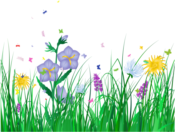 See Clipart Flower Meadow - Transparent Background Flowers Clipart (600x463)