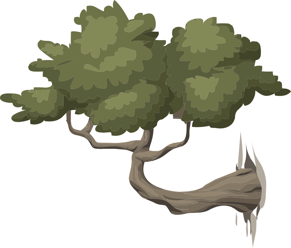 Alpine Landscape Mountain Bonsai 01a Al1 - Squirrels Samsung Galaxy S8 Case (1000x852)