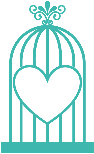 Bird Cage - Vector Graphics (800x800)