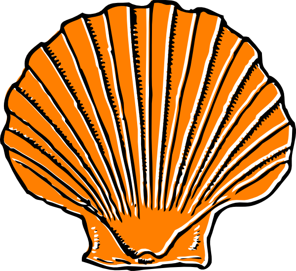 Orange Seashell Clip Art - Shell Clipart (600x549)