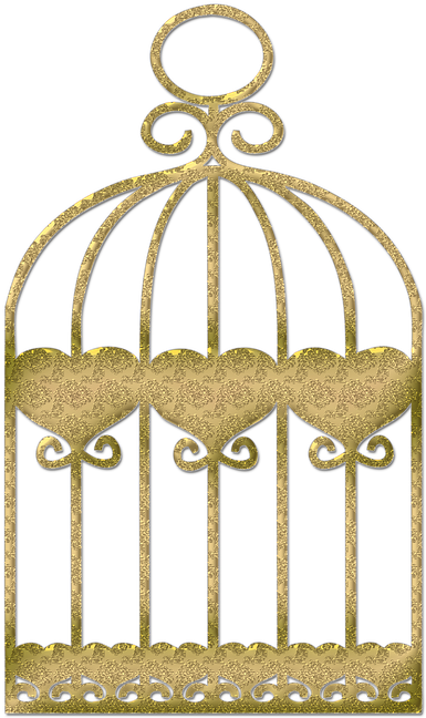 Birdcage Clipart 14, Buy Clip Art - Ural Owl (720x720)