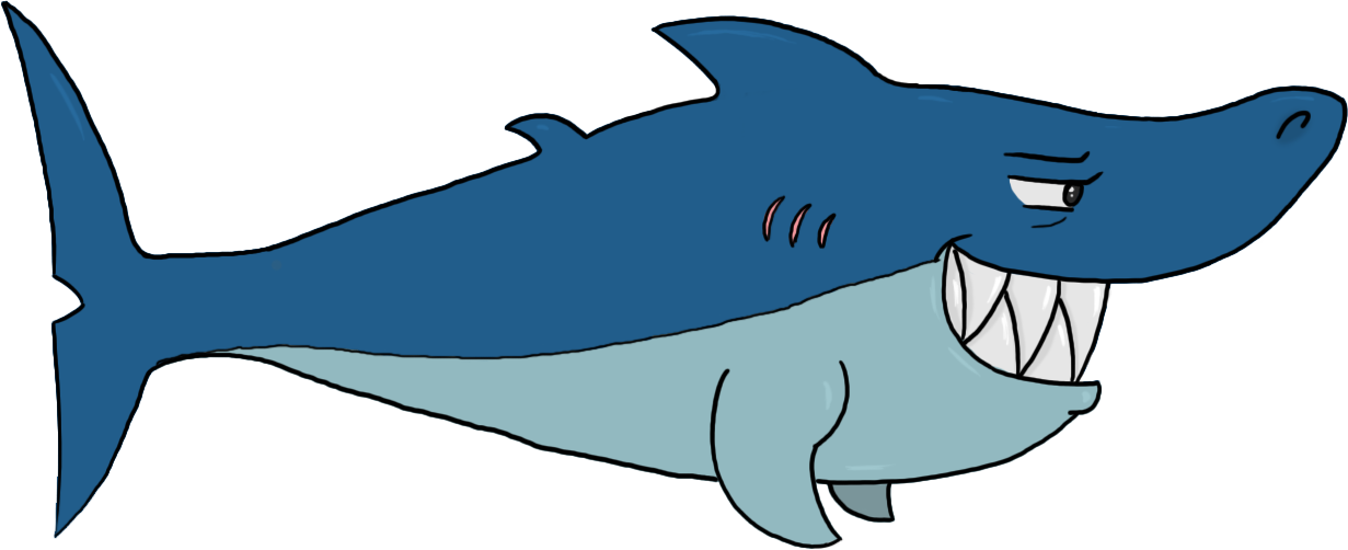 Shark Clipart Transparent Background - Many Bones Do Sharks Have In Their Bodies (1231x502)