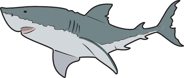 Animal, En, Fish, Ocean, Ocean Animals - Great White Shark Mugs (600x254)