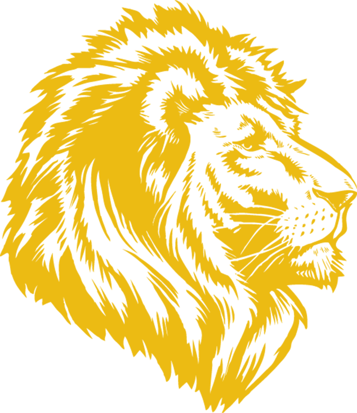 Logo Lion - Recherche Google - White Flag Iraq (1200x1385)
