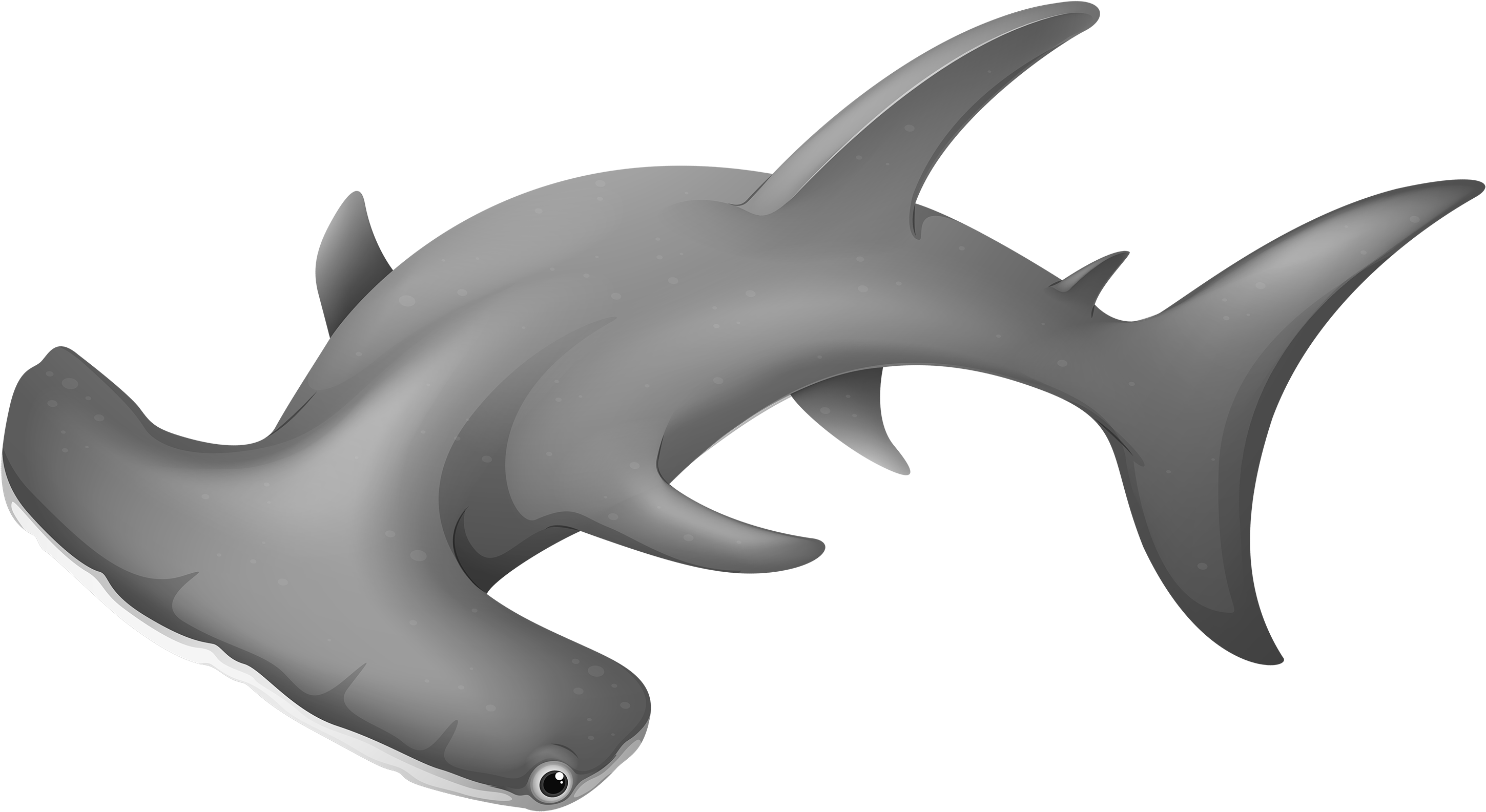Hammerheadshark Png Clipart - Hammerhead Shark Picture Png (3000x1681)