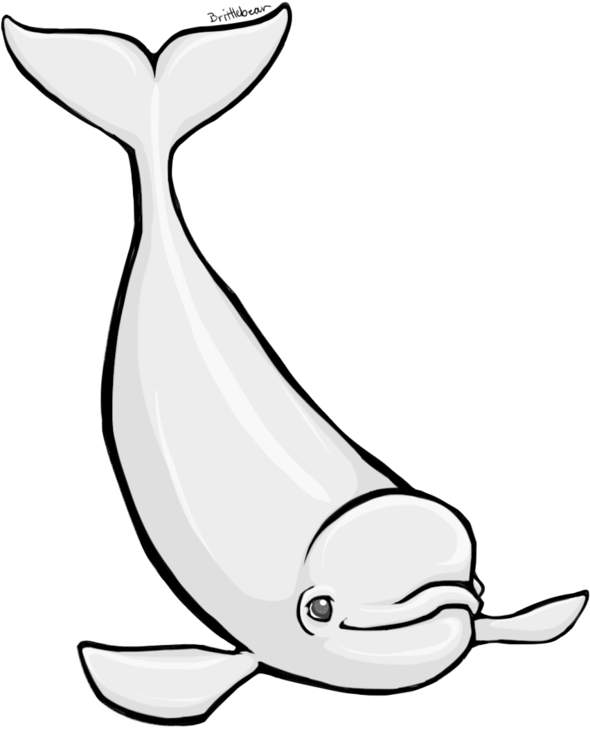 Animated Beluga Whale Images Pictures - Cartoon Beluga Whale (900x1076)