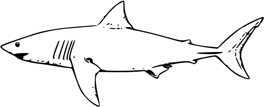 Clip Art Details - Great White Shark Outline (1000x405)
