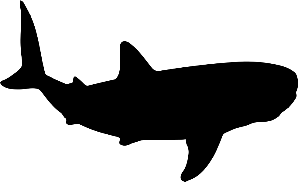 Whale Shark Shape Comments - Whale Silhouette Png (981x600)