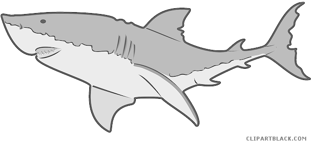 Grey Shark Animal Free Black White Clipart Images Clipartblack - Great White Shark Shower Curtain (640x320)