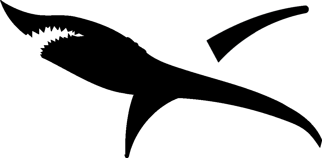 And The Underbelly - Cricut (1118x549)