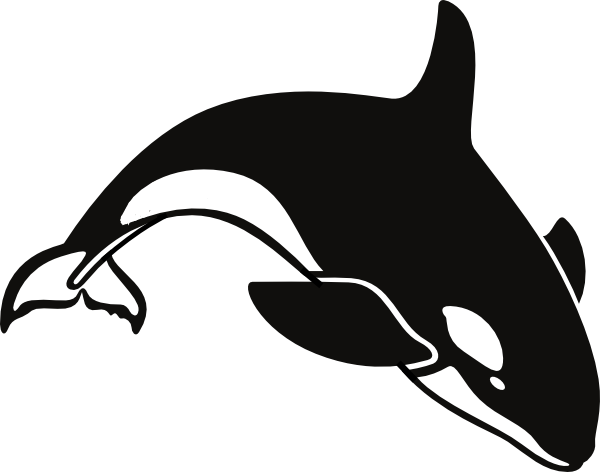 Orca Clip Art - Killer Whale Clipart (600x472)