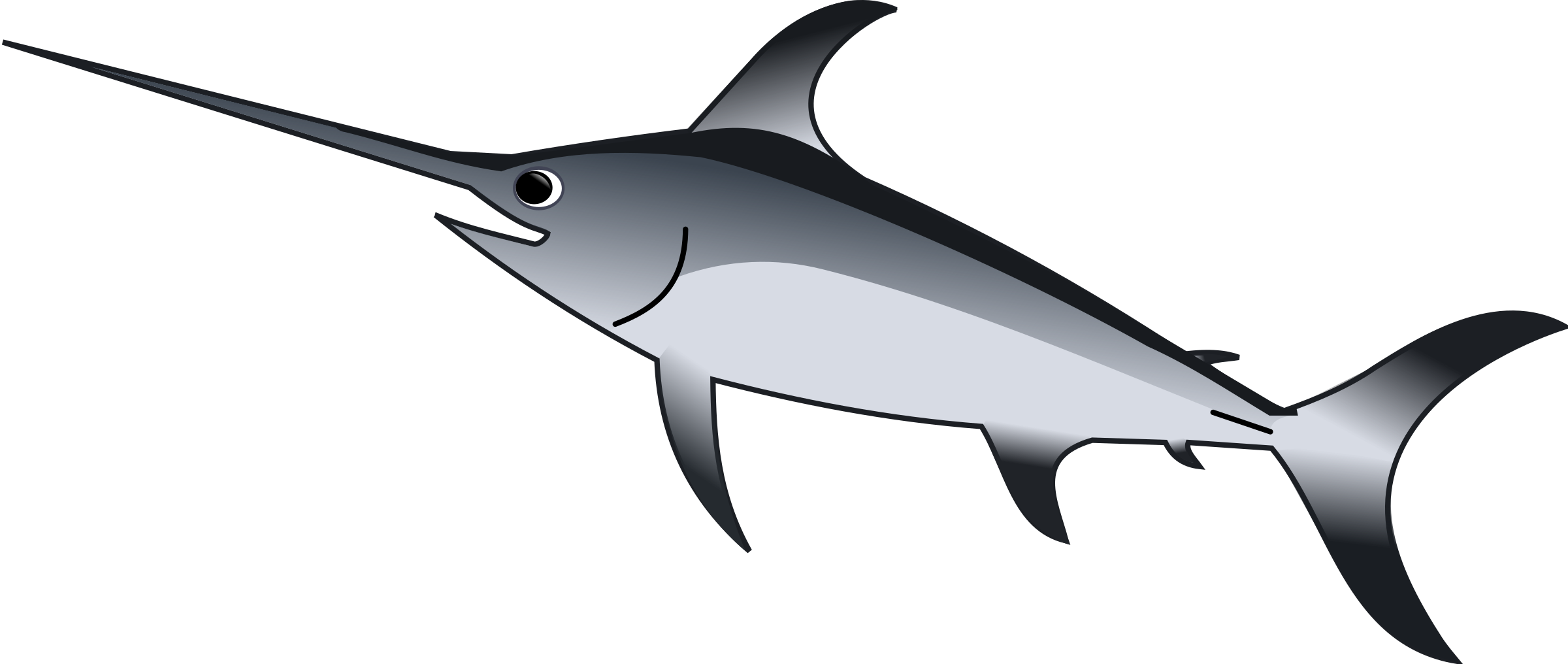 See Here Cartoon Fish Transparent Background - Xiphias Clipart (2400x1016)