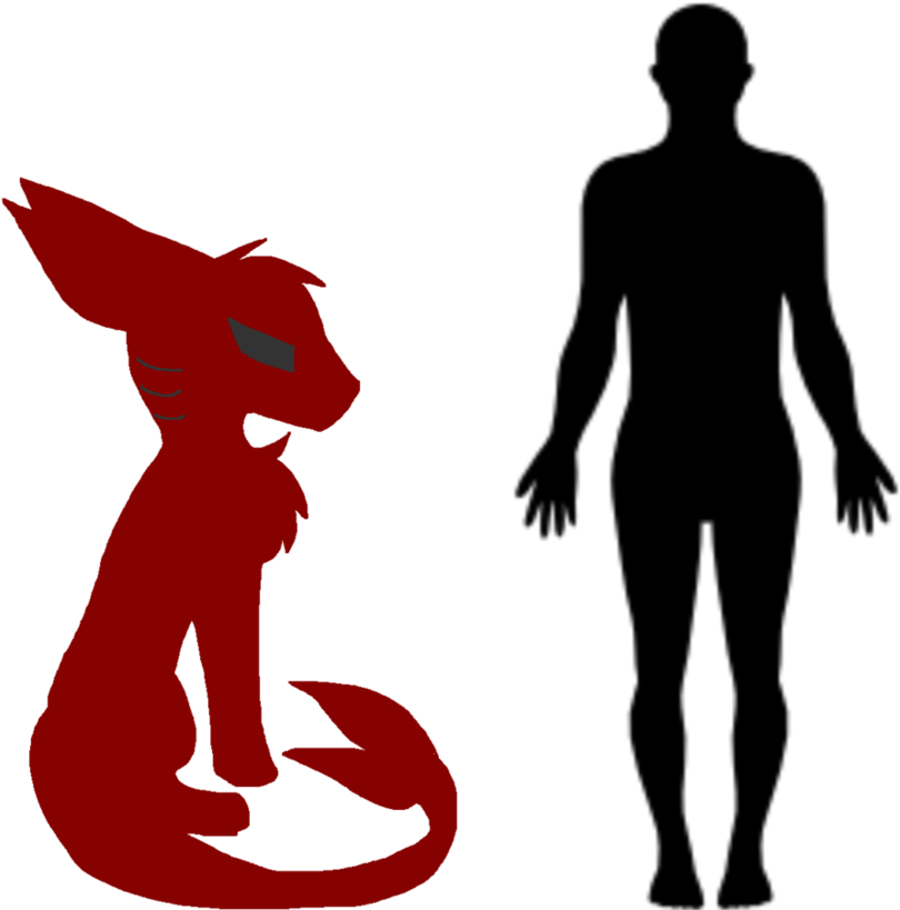 Not Normal Color Shark Wolf Compared To A Human By - Body (932x858)