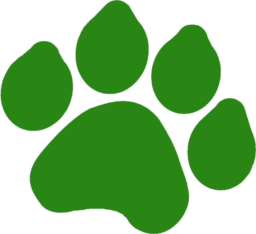 Google Images Paw Print (1095x1088)