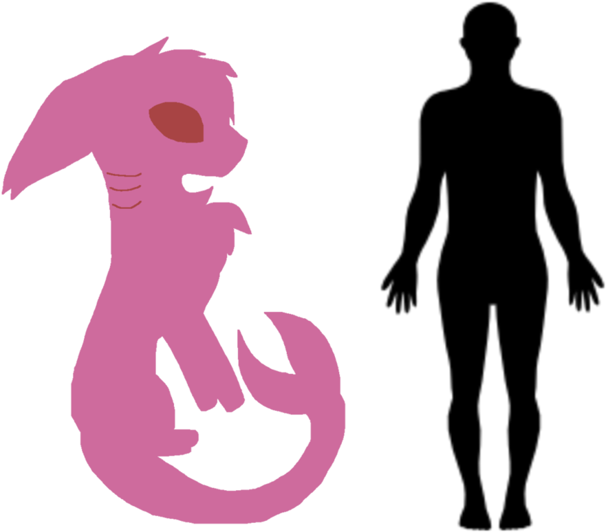 Rare Color Shark Wolf Compared To A Human By Amy Blood - Nipahvirus Cure (932x858)